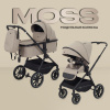 Moss 2025 Beige_01